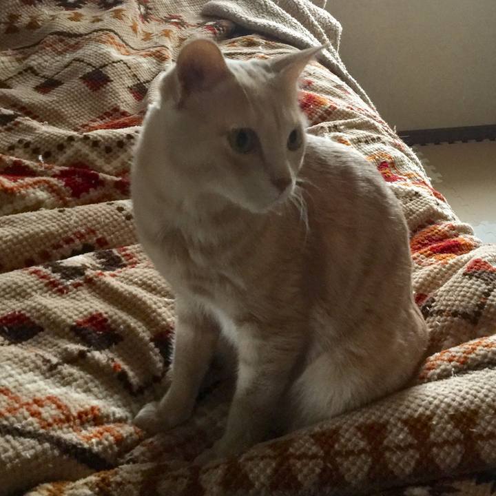 Ab5414ff 8c32 4db8 82e5 e02e68922d99