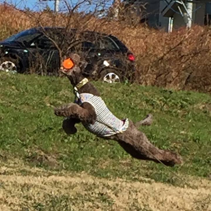 Ab54cb7d b927 4615 9786 9a363d94c3f8