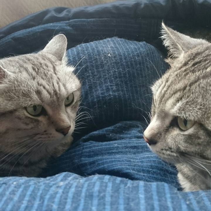 Ab5590bf f033 47ae af3c 448b915bb59c