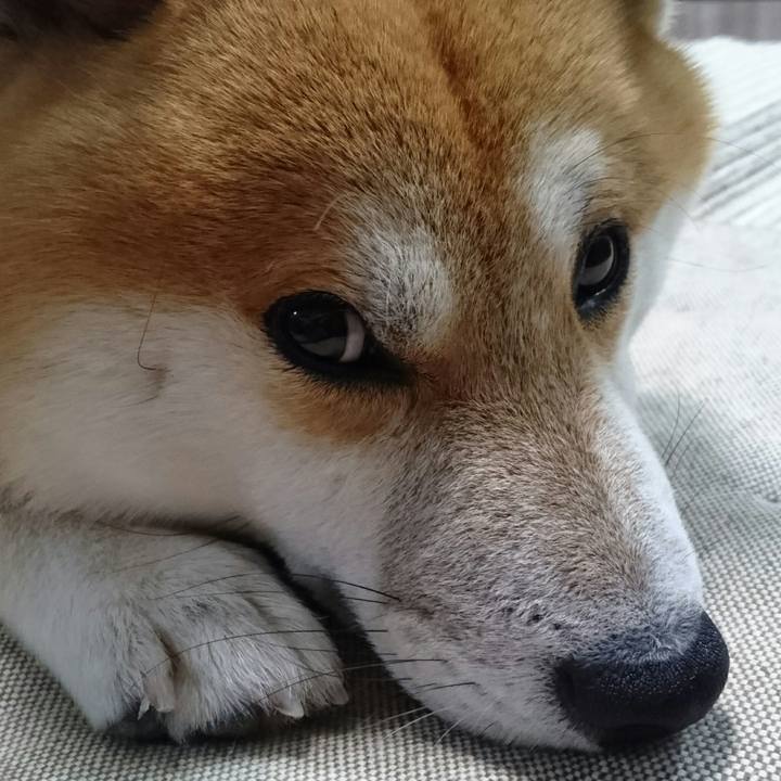 Ab55e8e3 4342 464f be01 123ed55e88d4