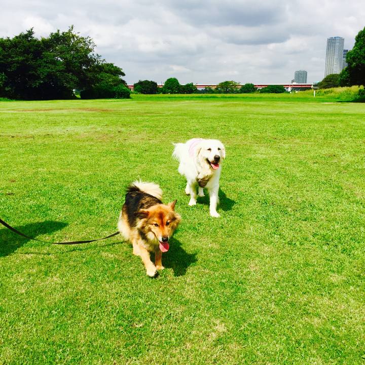 Ab56eedd 3e93 4981 8d2f 2442a18998d8