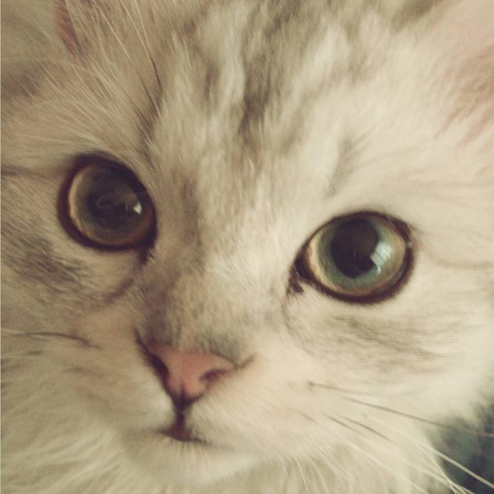 Ab574a28 5d11 4711 9a09 7269be789d67