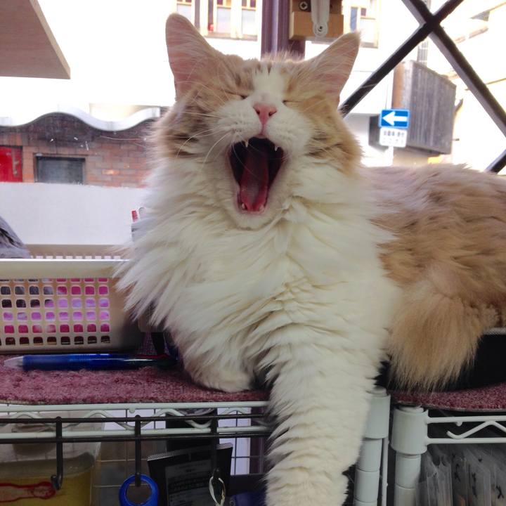 Ab574b63 f457 4ebc 9ccf 12ef4edc3d95