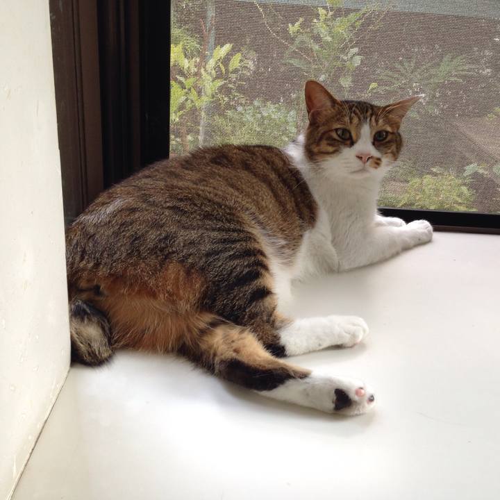 Ab5777fd ad9a 4d2d ae59 721a715acbbc