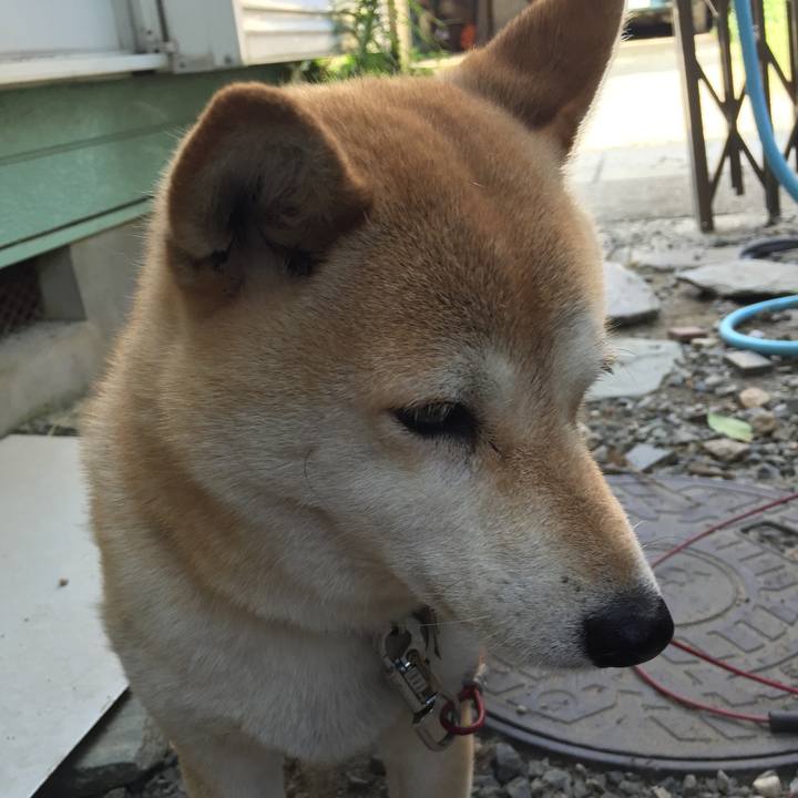 Ab579468 ed4d 45a1 ab05 00cccfdf3436