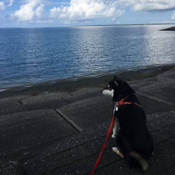 Ab57b6cc 1e28 45d6 98d3 ad793081f54b