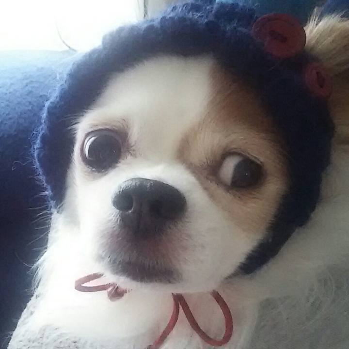 Ab57d8e8 5416 4f67 9580 9022a0c1532d