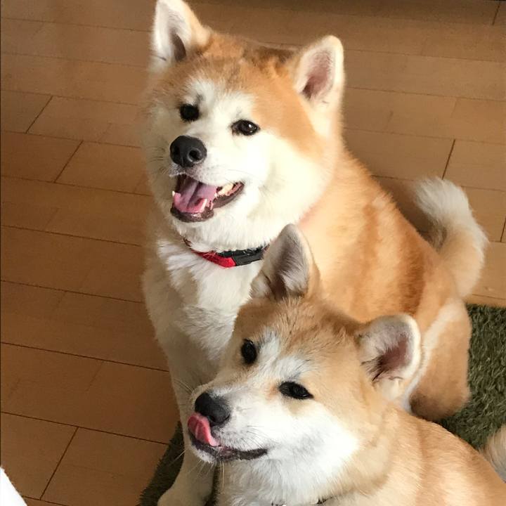 Ab5833a0 6e7e 4ef3 a499 1dbbd86a7be1