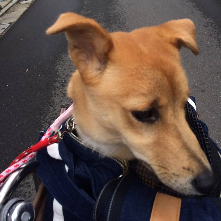 Ab58a739 c2dc 460d 943b 564f9967687e