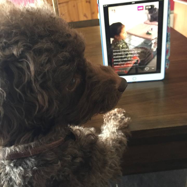 Ab58b417 6c9e 49e1 83d5 9fa95370dd8a