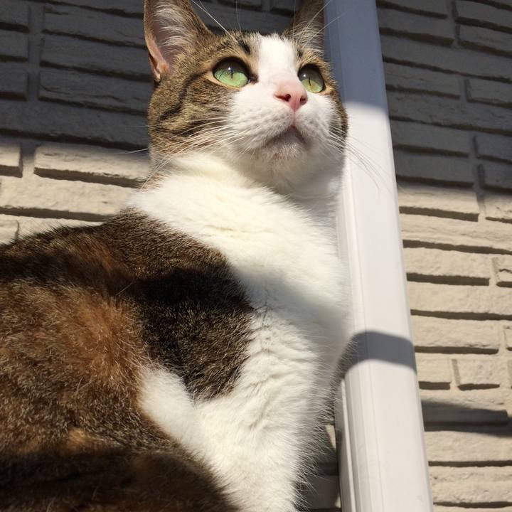 Ab5971ea db17 4e83 9778 2c22593e94f0