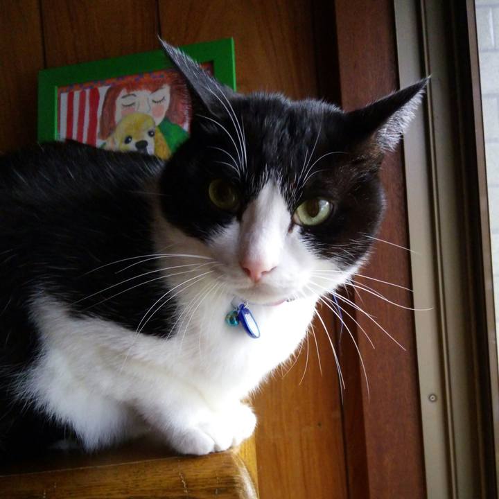 Ab59d194 ba8e 4e2c a321 a949c3de48b2