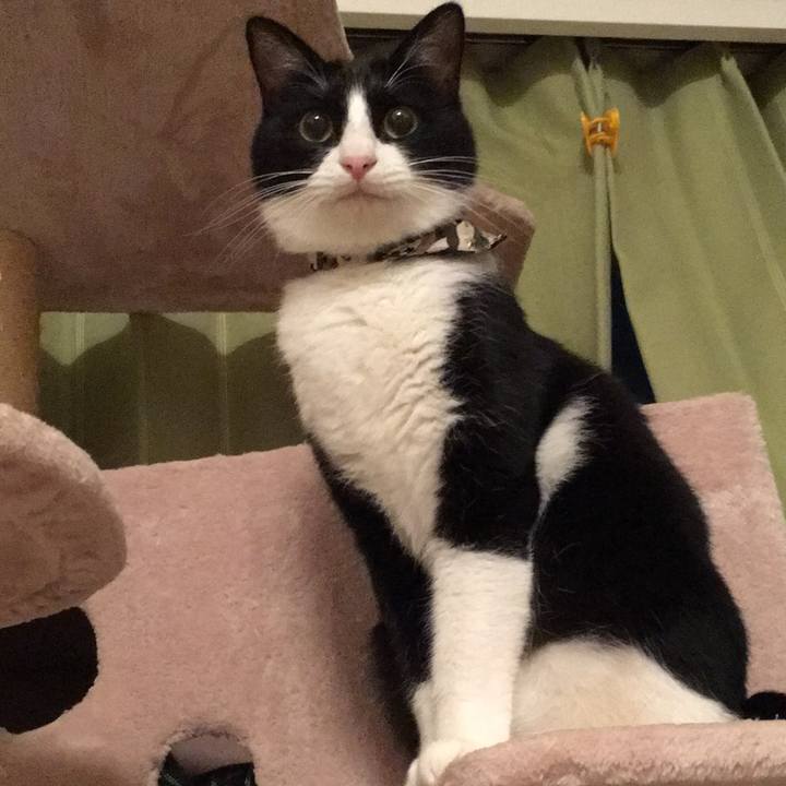 Ab5a8e91 7234 40c3 8c2f 58d614369688