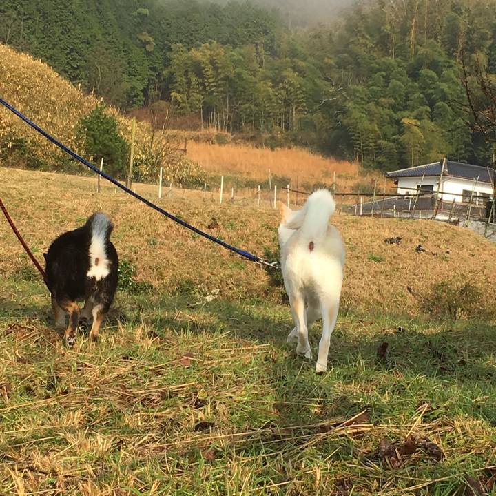 Ab5ab7b8 87e1 41da ad5d 3530a35132c4