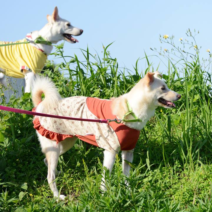 Ab5b524d 3acc 44e4 813d 88f2aaf6a8f4