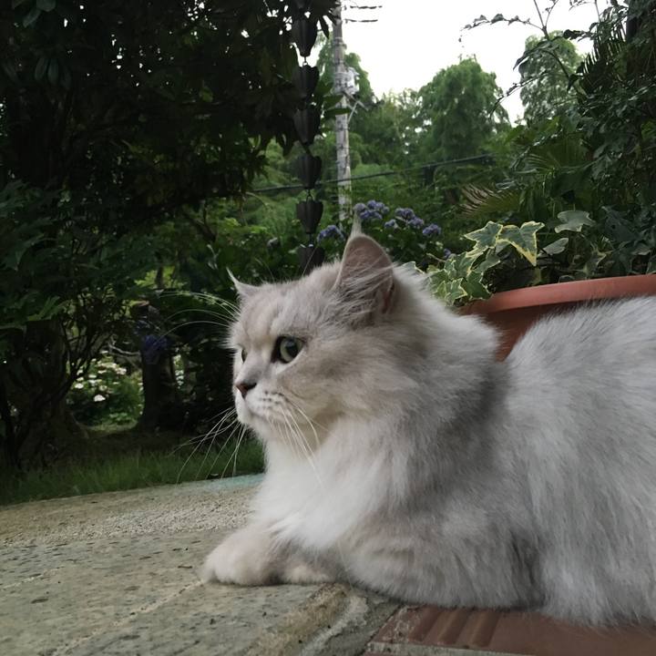 Ab5be447 8db2 4808 b7bd 79a4c42815b0