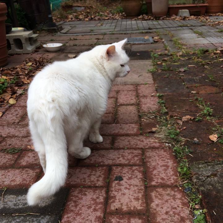 Ab5d56e8 080b 437d 8722 3f604534c7fb