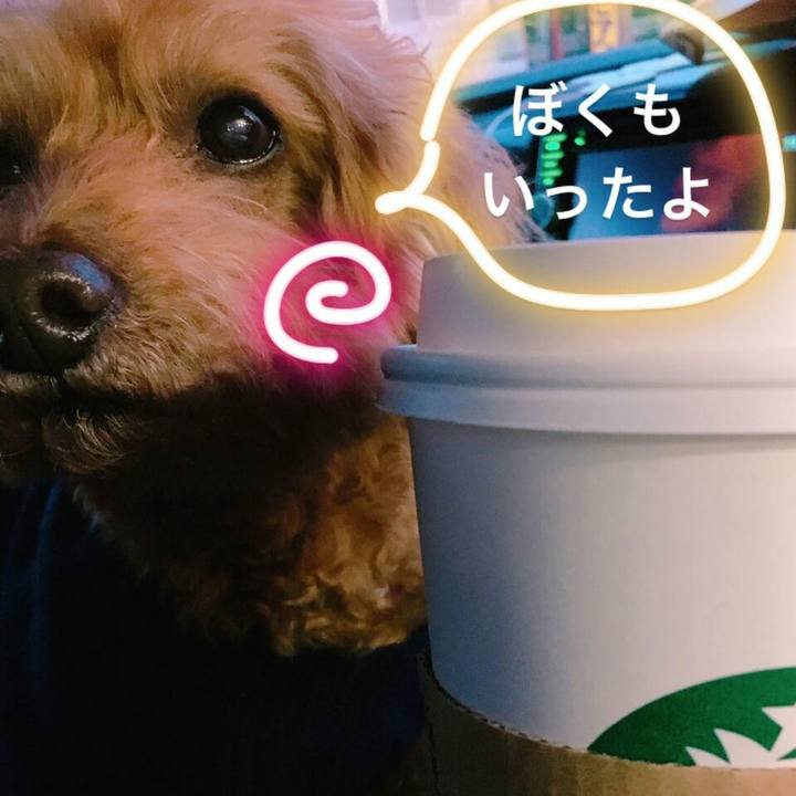 Ab5dd3f9 bb42 44b1 856a 4c6f40c3129a