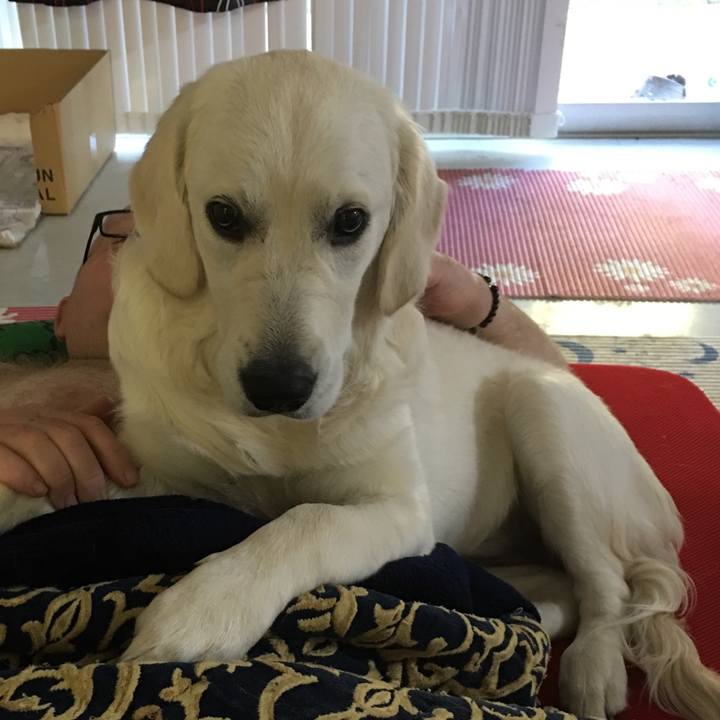 Ab5df1d0 facd 4848 9666 3fc9e0dfda20