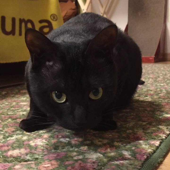 Ab5dfb05 c40b 4800 a62e 8f978f955eaf