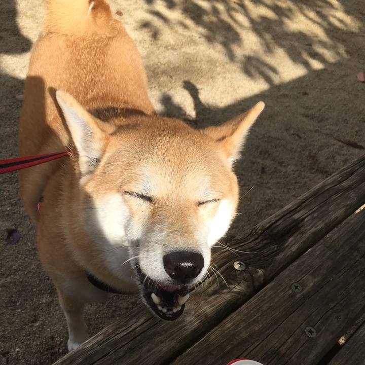 Ab5e263e 0586 483b 8d21 d14d049f8e05