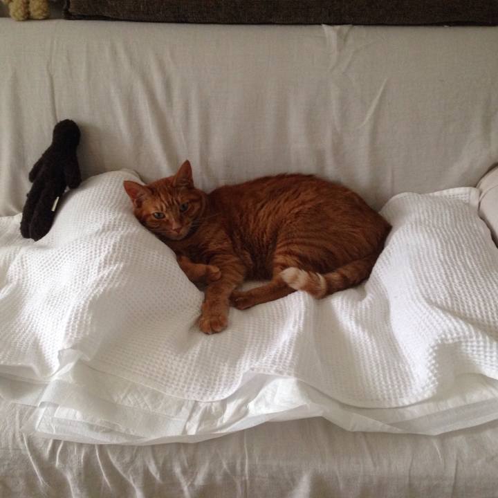 Ab5e4121 913b 456d b020 9c26a74edf67