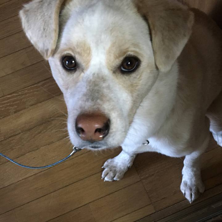 Ab5e771f f2ba 4cbf a774 c823b4dbc983