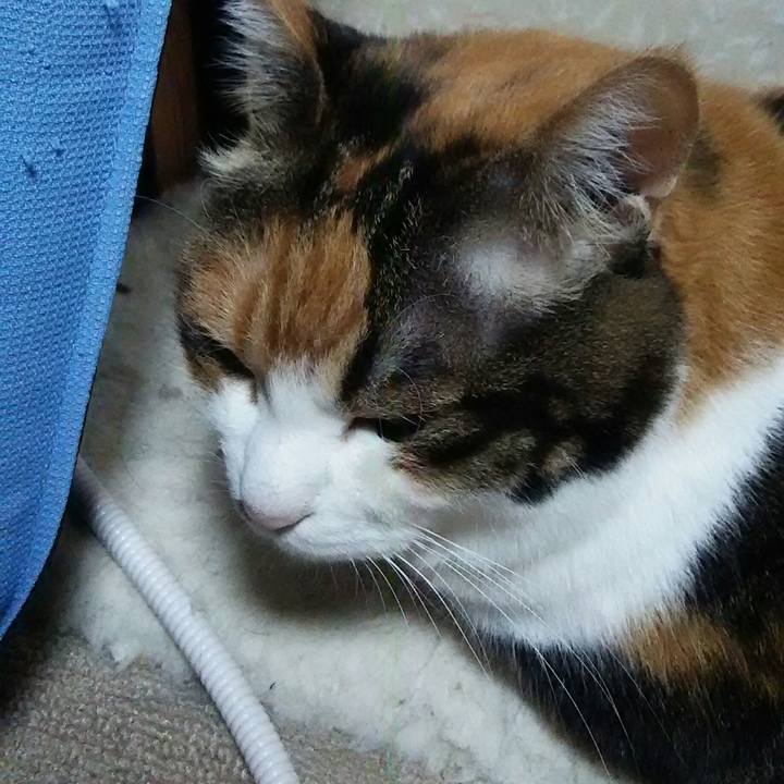 Ab5f372d 66e0 4dff 935e 0292bb5958a1