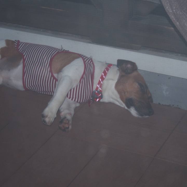 Ab5f9a10 d877 4b56 9206 45c0acfe43f3