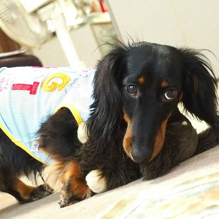 Ab601959 0e32 4736 8edc c620ee8ef7c8