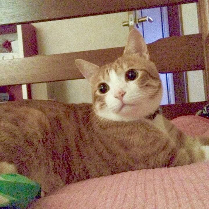 Ab60330b 5c23 4411 b221 134e4d977615