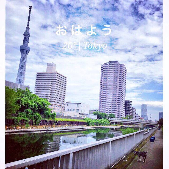 Ab608abc 3f54 4ffd 88c7 5e4e58b03968