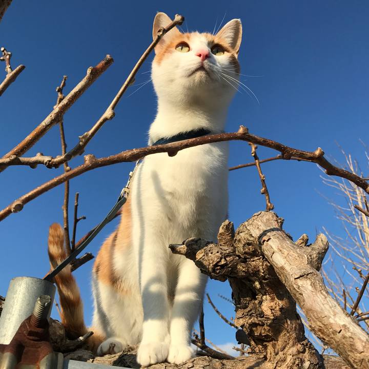 Ab60bd1b 2b33 4eb7 a7a2 96d86ddfe2c5