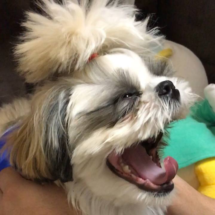 Ab60e0cc 31f9 401a be84 9a2e13eb0bf7