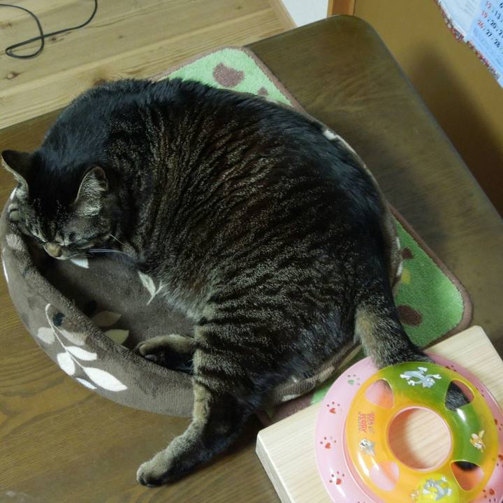 Ab610b60 fcfa 41bf 9d62 6609e6f0ed81