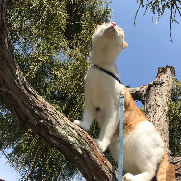 Ab611d54 4539 44d2 9562 02b233dd1d27