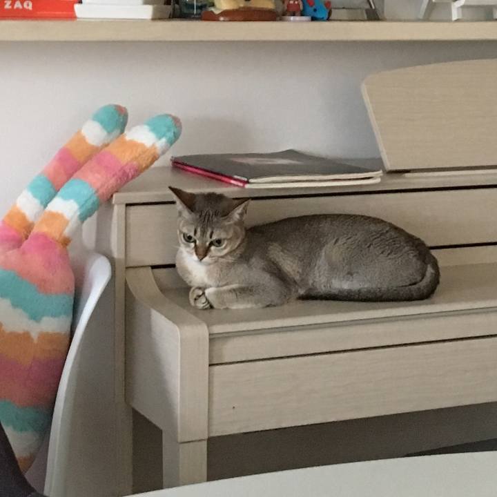 Ab614cb1 1eab 4779 b145 7e0e6a982ae2