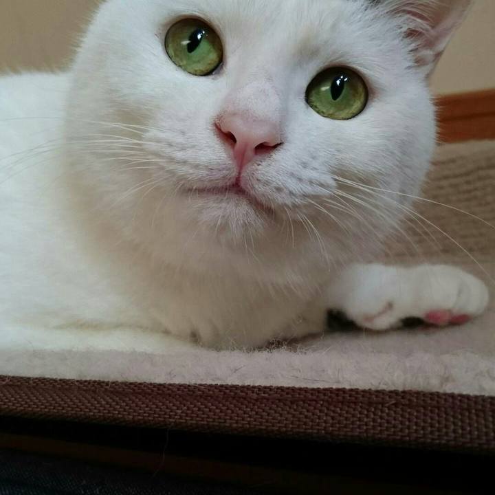 Ab61963c 6e87 4ff8 90d2 fbb3ef94607e