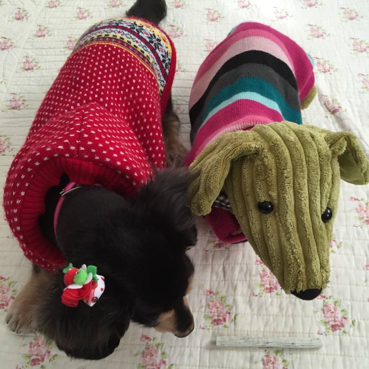 Ab61d2c0 662d 48c5 aee3 7af77630967e