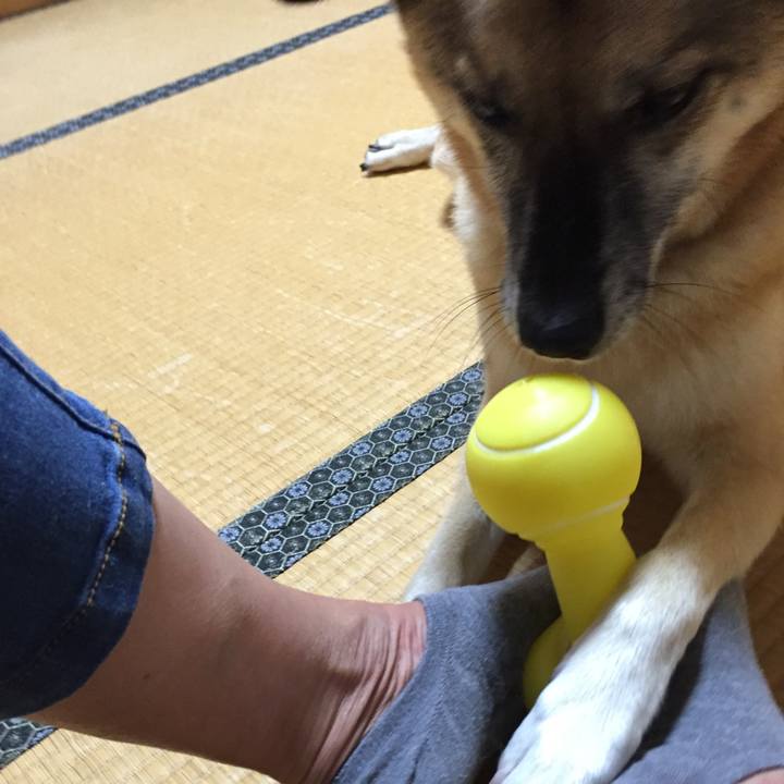 Ab627b99 4454 4c2d 8511 7e078a4e6a68