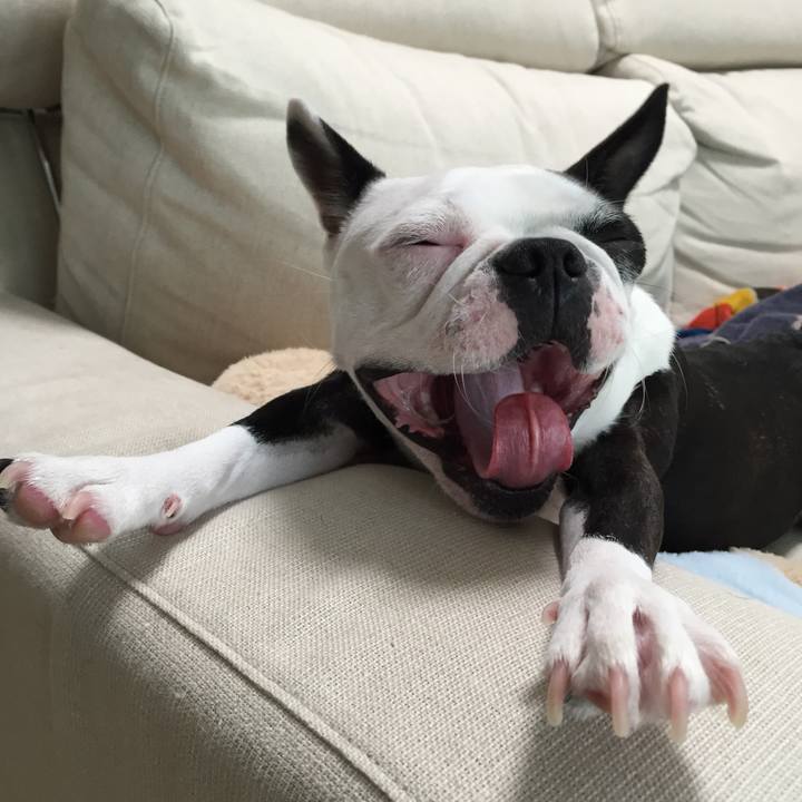 Ab63579d 5ab7 4a8c 8083 628296254678