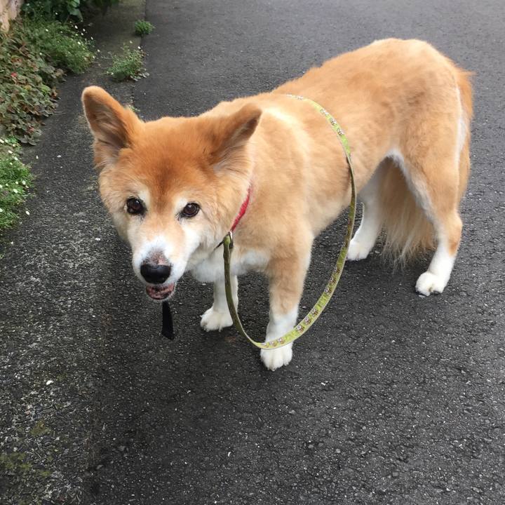 Ab63cd22 8027 4680 ad09 6dc8c6b36111