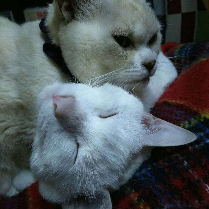 Ab63d10c b4ac 4eec b570 198dcfe5c38c