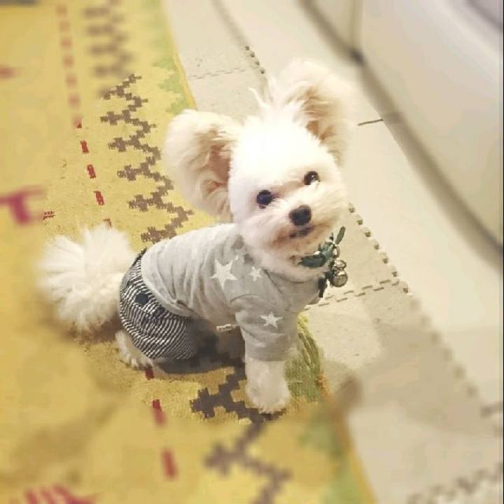 Ab64a738 85e6 494c 863b fb49f1cb9e50