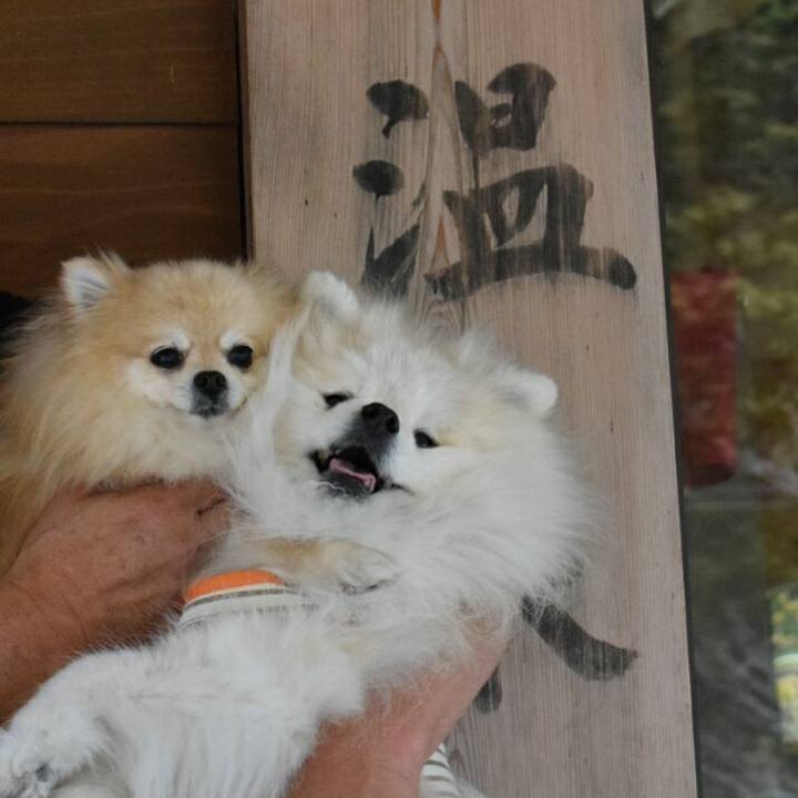 Ab65683a d67d 4721 9970 7f46528e178f