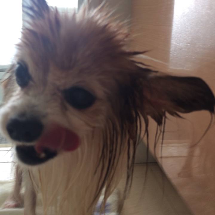 Ab661e6b f28d 4840 9453 183620273903