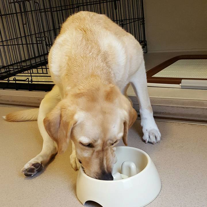 Ab666083 31e5 4340 8923 ee642bfb2bfb