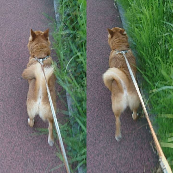 Ab66f638 cdf8 450c b7ee e85bd13e73a9