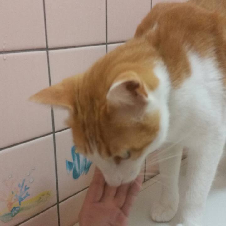 Ab6731bc 3781 4368 8713 b2af307f4ab2