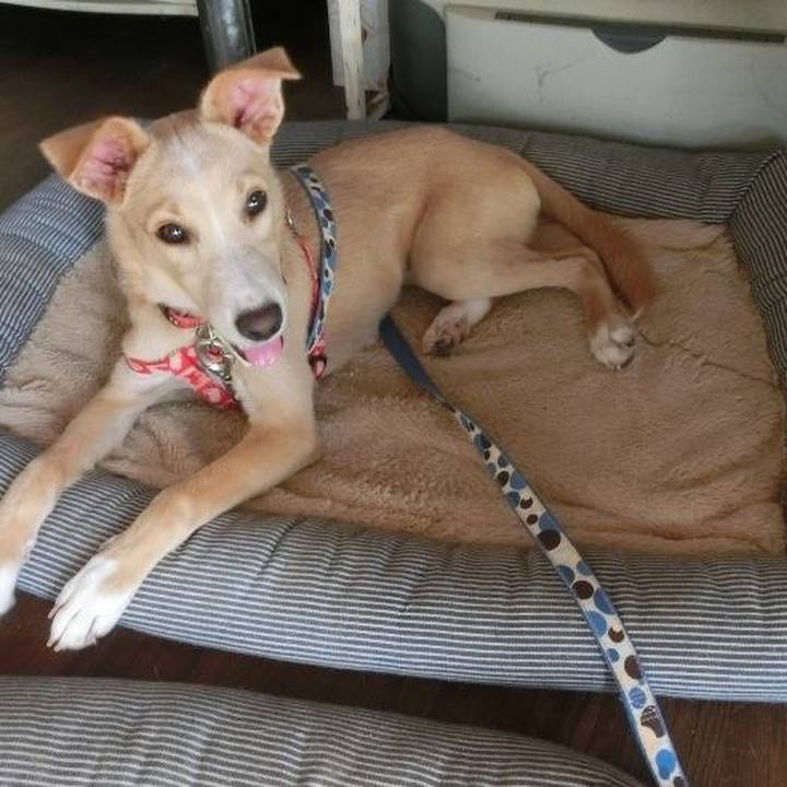 Ab67c7a5 850a 4b1f bd6a 31cd61490998